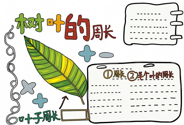 三年级数学小报：树叶的周长简单又漂亮手抄报模板，暑假作业必备