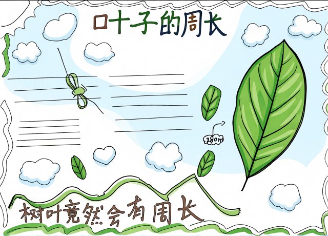 三年级数学暑假小报：树叶的周长手抄报，简单又漂亮，数学知识大揭秘